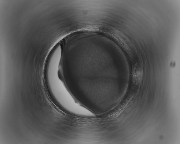 X0000097910484200804041505