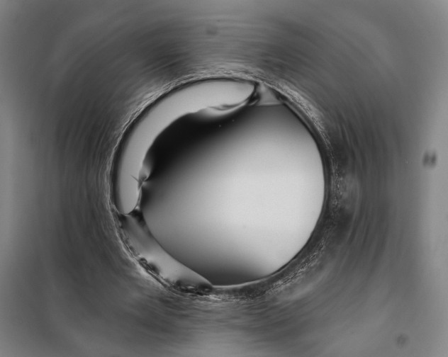 X0000097910485200804041504