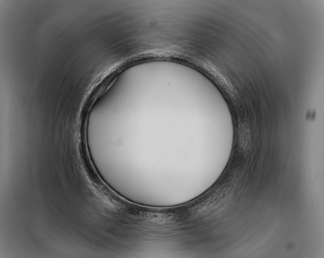 X0000097910486200804041504