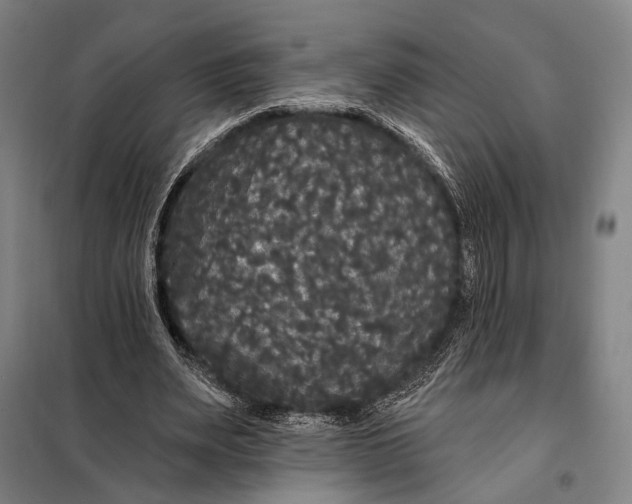 X0000097910487200804041504