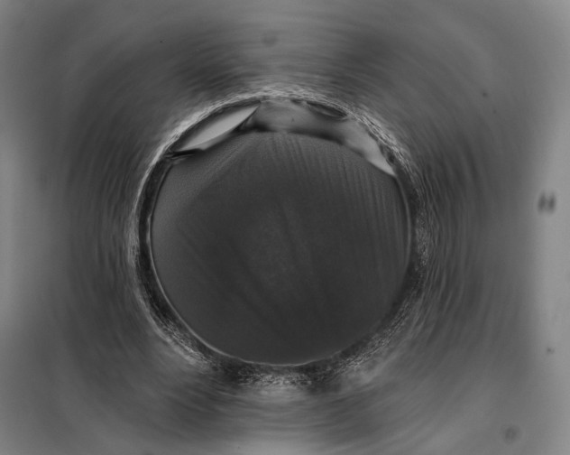 X0000097910488200804041504