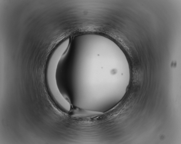 X0000097910489200804041504