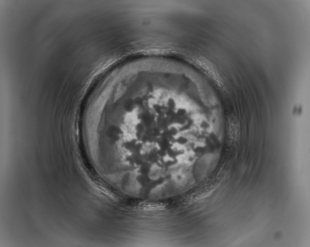 X0000097910491200804041504