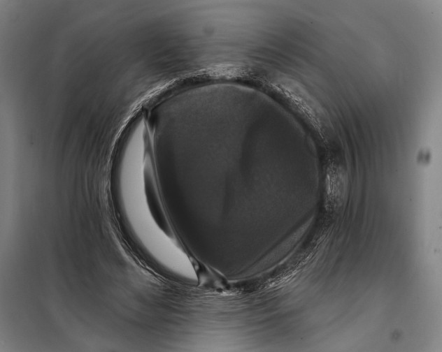 X0000097910492200804041504