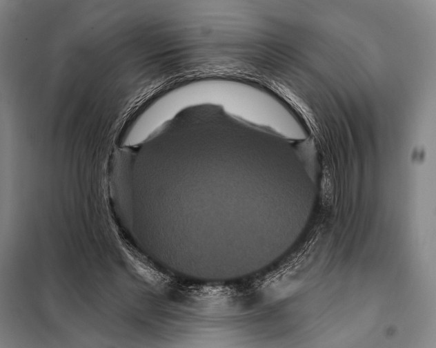 X0000097910493200804041504