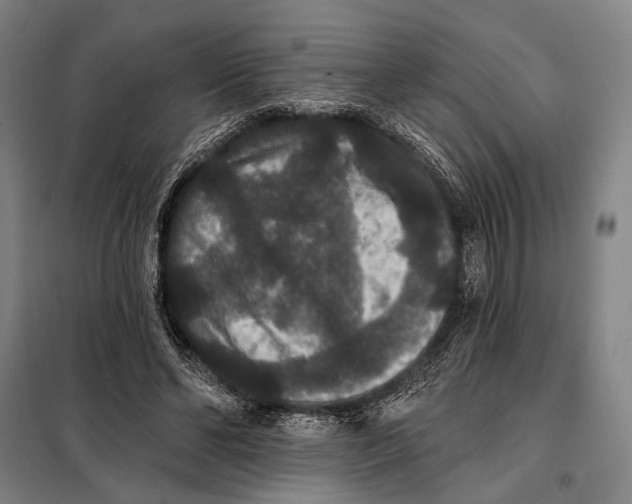 X0000097910494200804041504