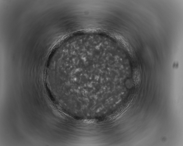 X0000097910495200804041504