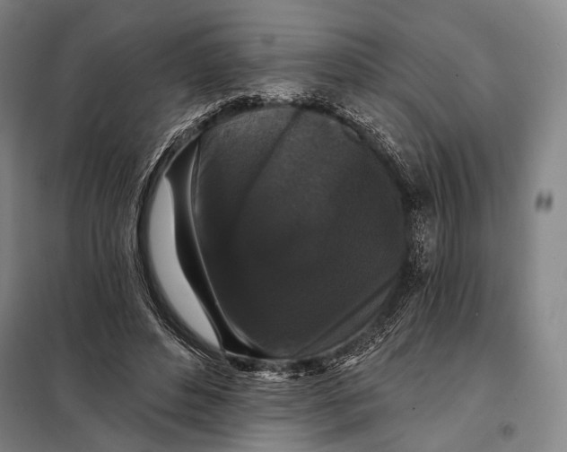 X0000097910496200804041504