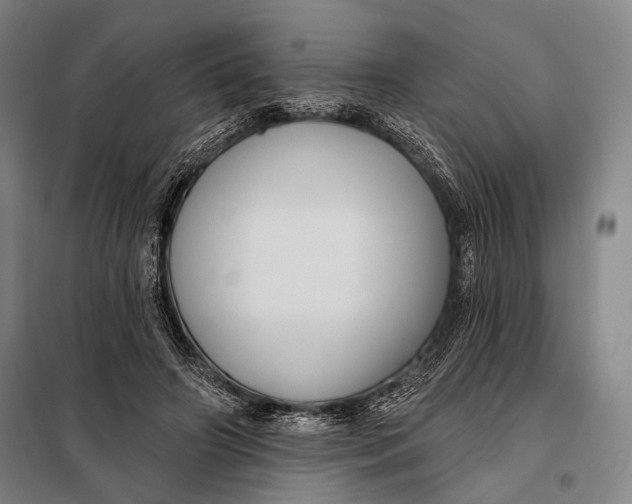 X0000097910498200804041504