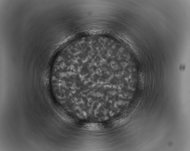 X0000097910499200804041504