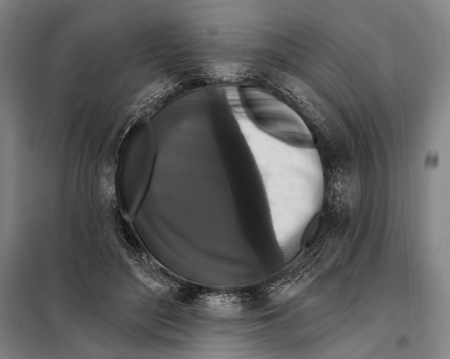 X0000097910500200804041504