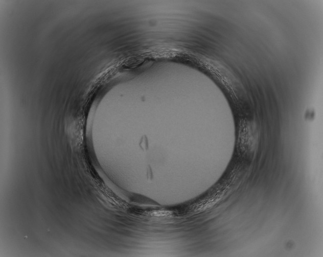 X0000097910501200804041504