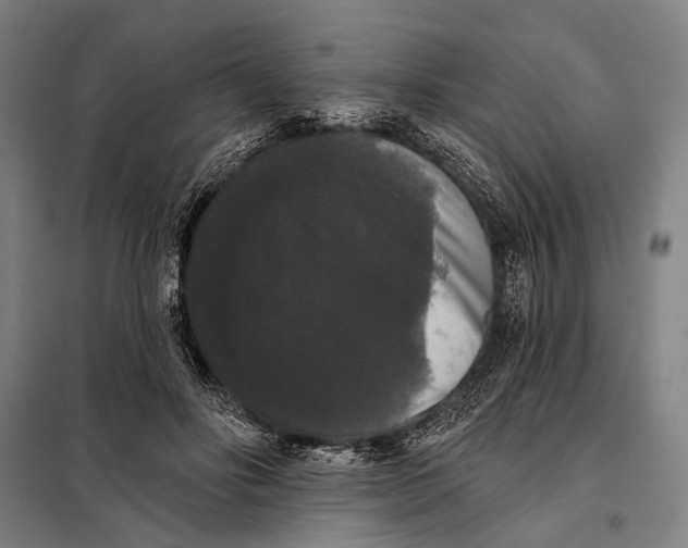 X0000097910502200804041504