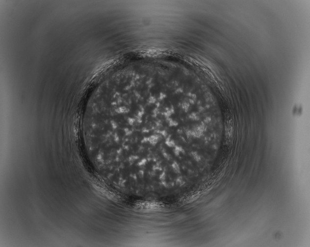 X0000097910503200804041504