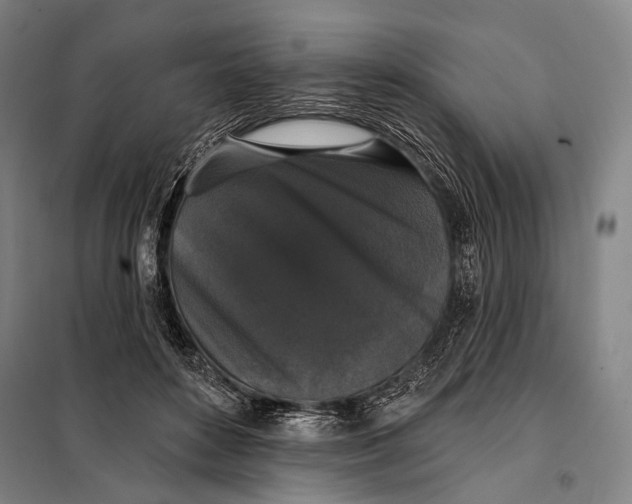 X0000097910504200804041504