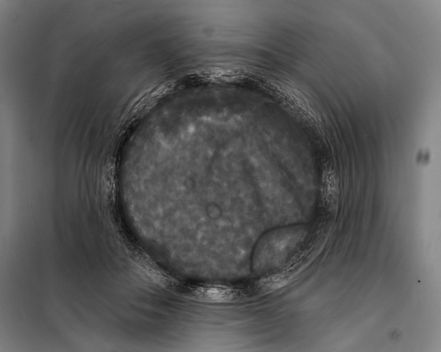 X0000097910506200804041504