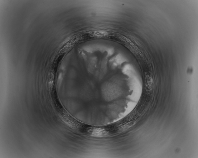 X0000097910507200804041504