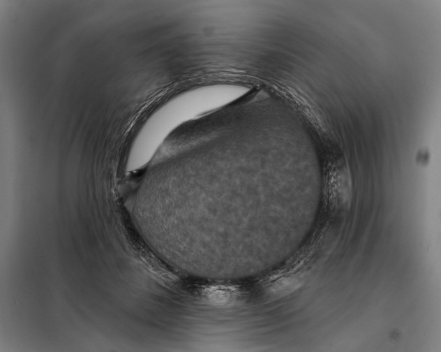 X0000097910508200804041504