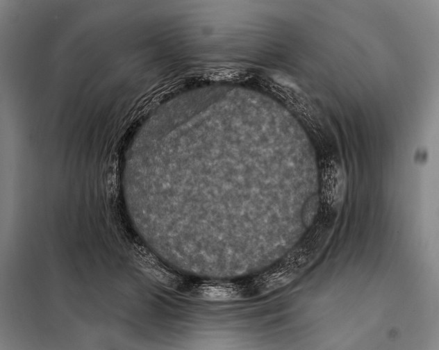 X0000097910510200804041504