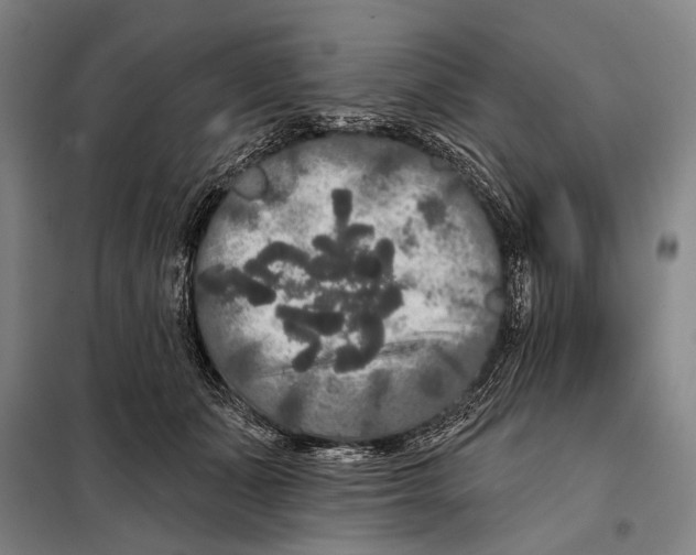 X0000097910511200804041504