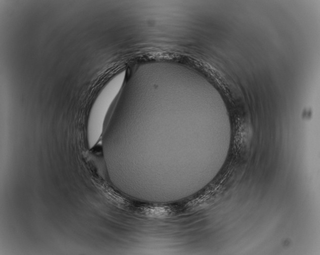 X0000097910513200804041504