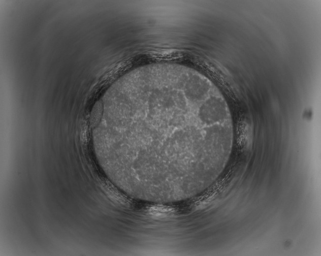 X0000097910515200804041504