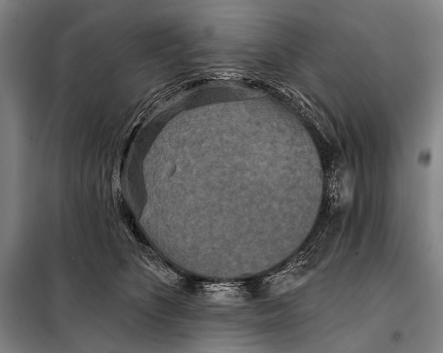 X0000097910516200804041504