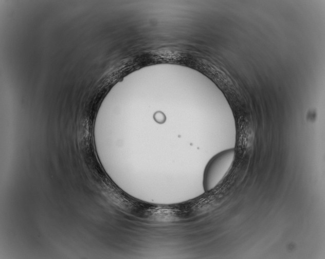 X0000097910518200804041504