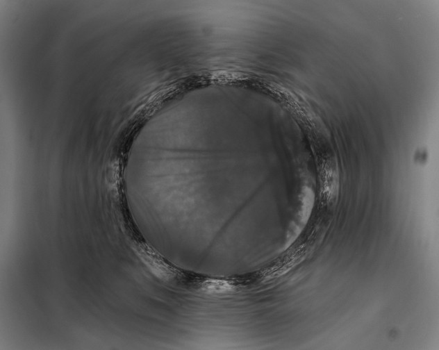 X0000097910519200804041504