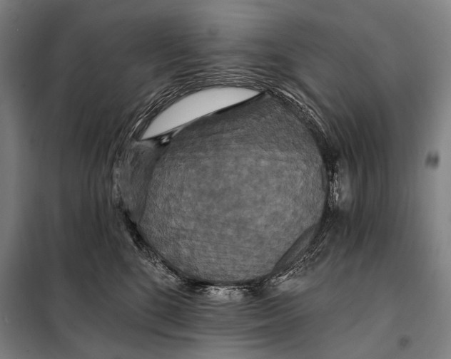 X0000097910520200804041504