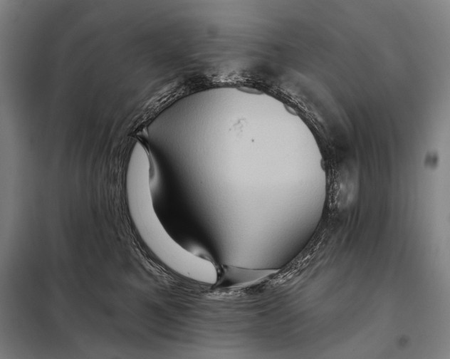 X0000097910521200804041504