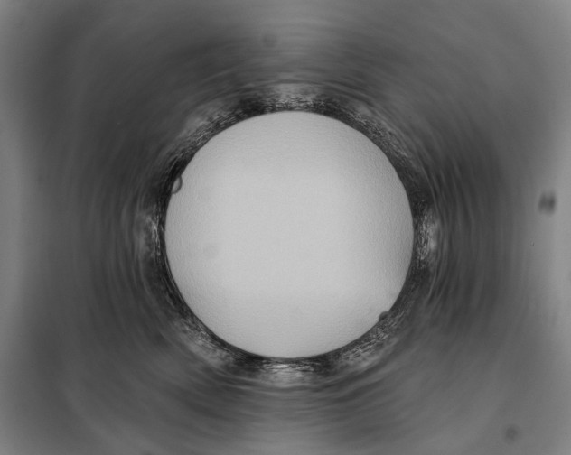 X0000097910522200804041504