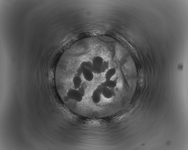 X0000097910523200804041504