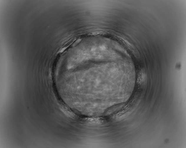 X0000097910524200804041504