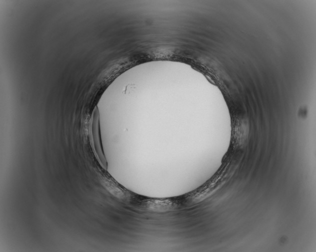 X0000097910525200804041504