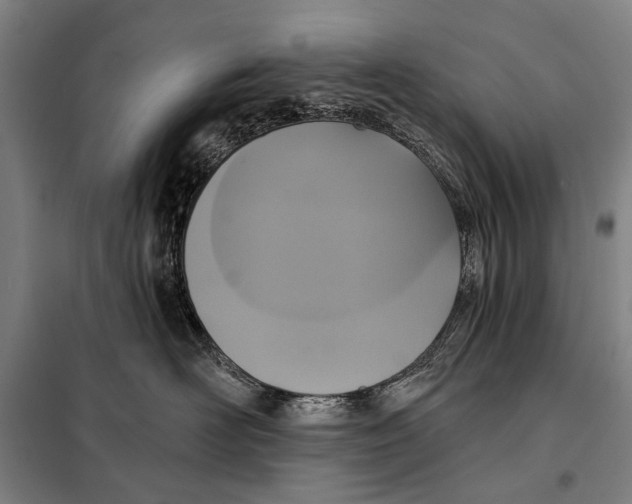 X0000097910526200804041504