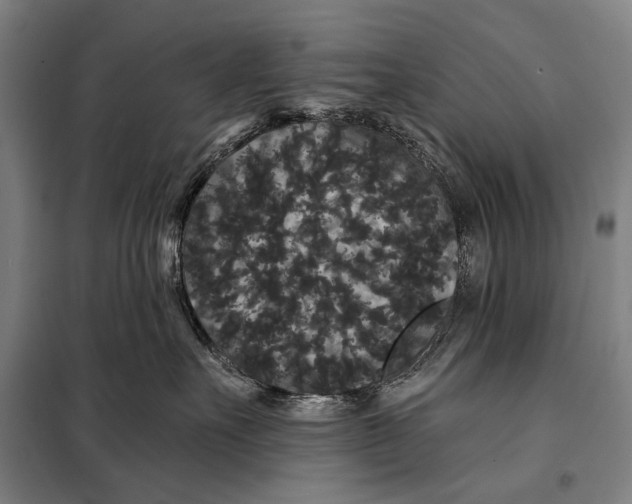 X0000097910527200804041504