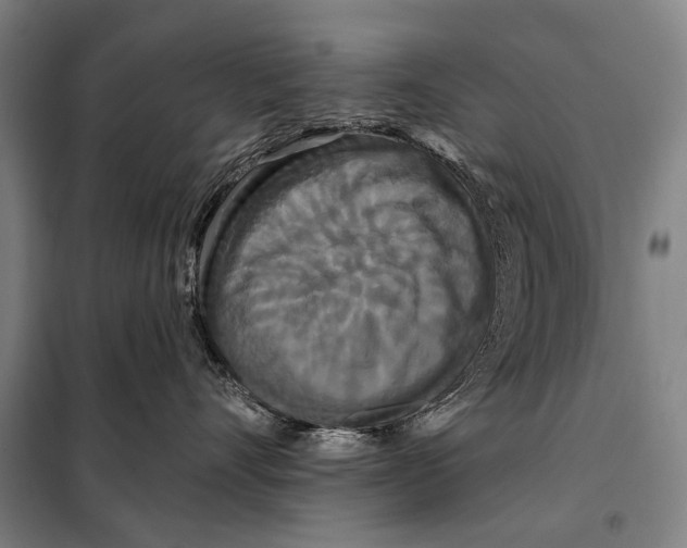 X0000097910528200804041504