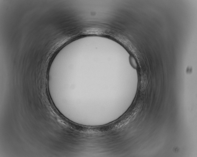 X0000097910529200804041503