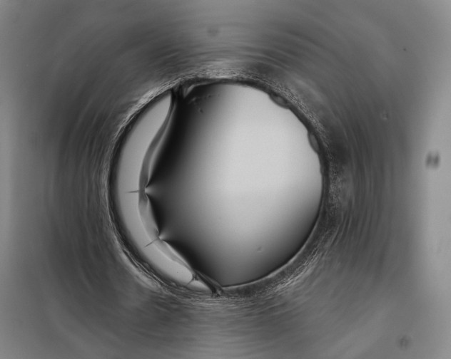 X0000097910530200804041503