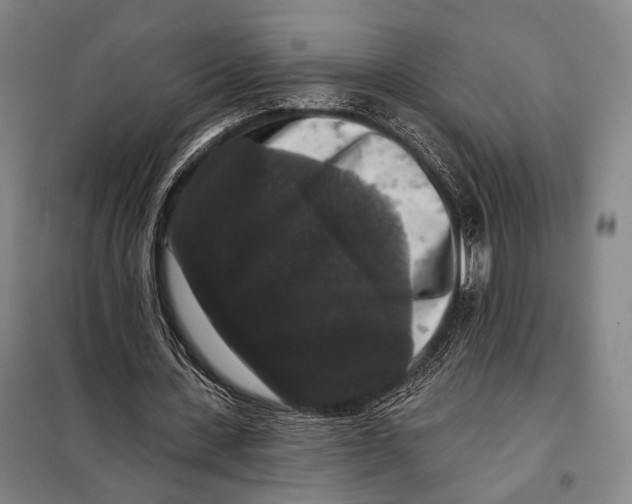 X0000097910531200804041503