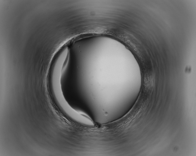 X0000097910532200804041503