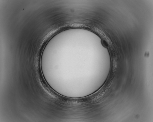 X0000097910533200804041503