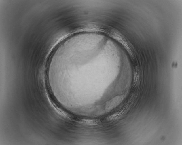 X0000097910534200804041503