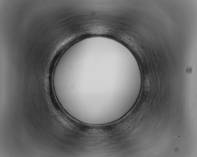 X0000097910535200804041503