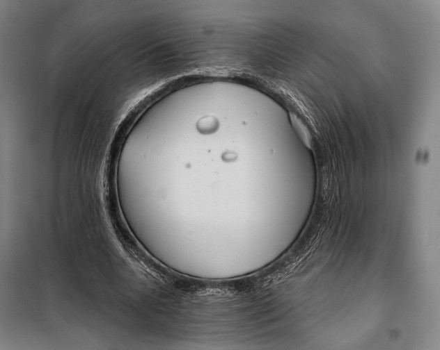 X0000097910536200804041503