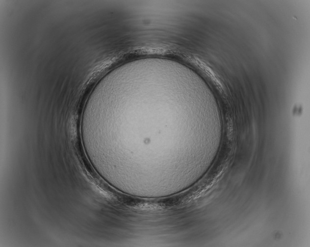 X0000097910537200804041503