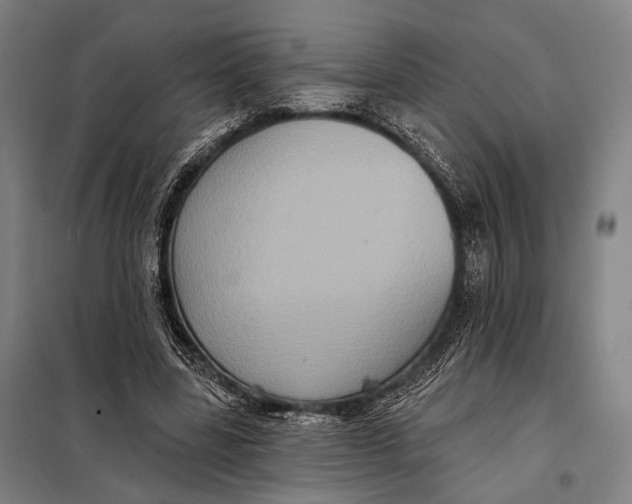 X0000097910539200804041503