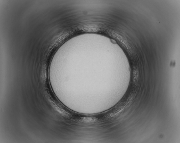 X0000097910541200804041503