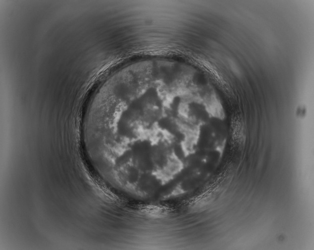 X0000097910542200804041503